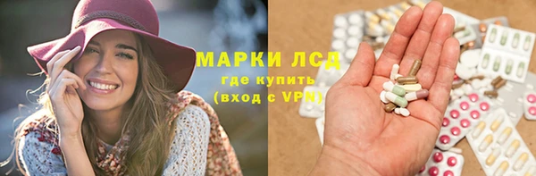 эйфоретик Бородино