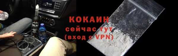эйфоретик Бородино
