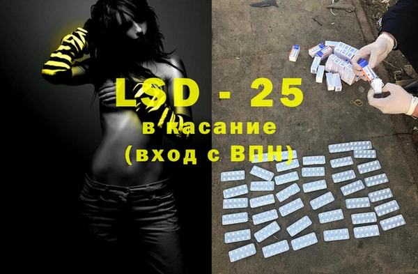 эйфоретик Бородино