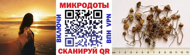 Галлюциногенные грибы мухоморы  Подольск 